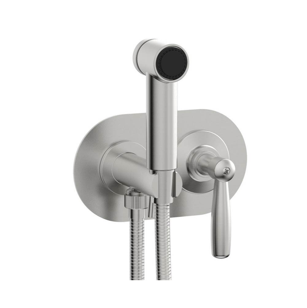Phylrich Wall Mounted Bidet Set Works, Lever Handle