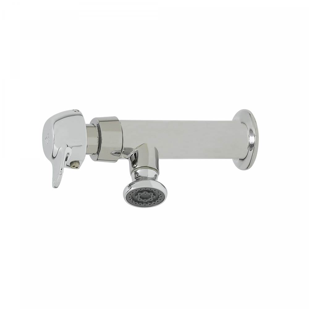 T&S Brass Wash Sink Faucet, Pivot Action Metering, 1/2 NPT-F Inlet, Rosespray