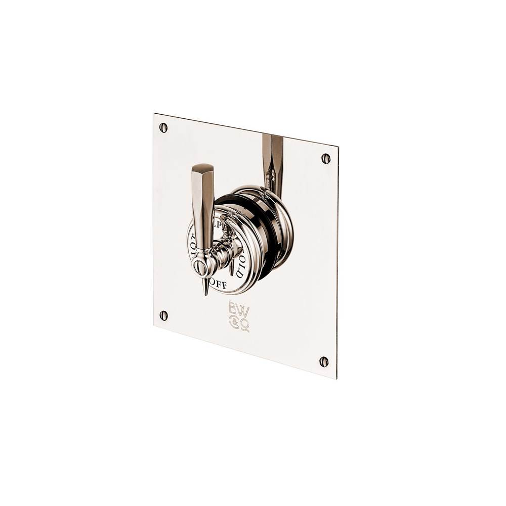 Barber Wilsons And Company Mastercraft Concealed Thermostatic Valve With Square Plate