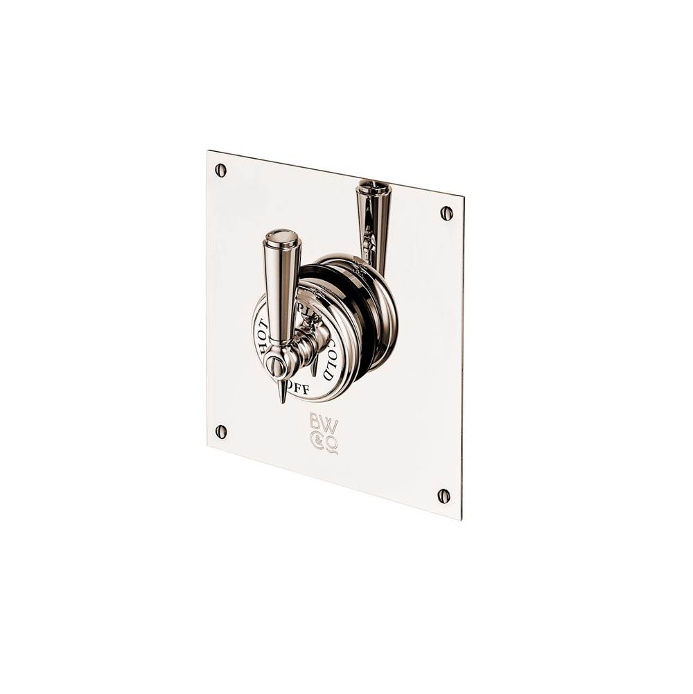 Barber Wilsons And Company Concealed Thermostatic Valve With Square Plate With Metal Lever