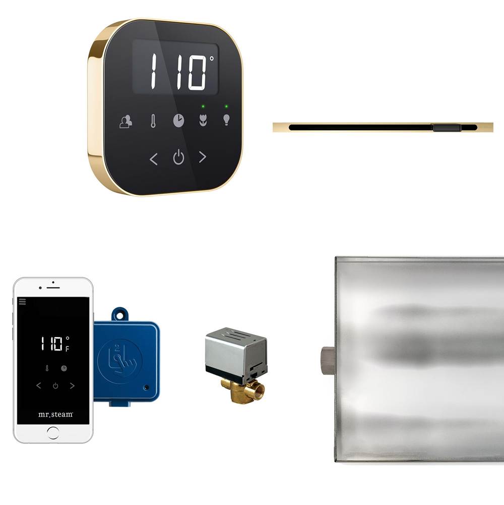 Mr. Steam AirButler Linear Steam Shower Control Package with AirTempo Control and Linear SteamHead in Black Polished Brass